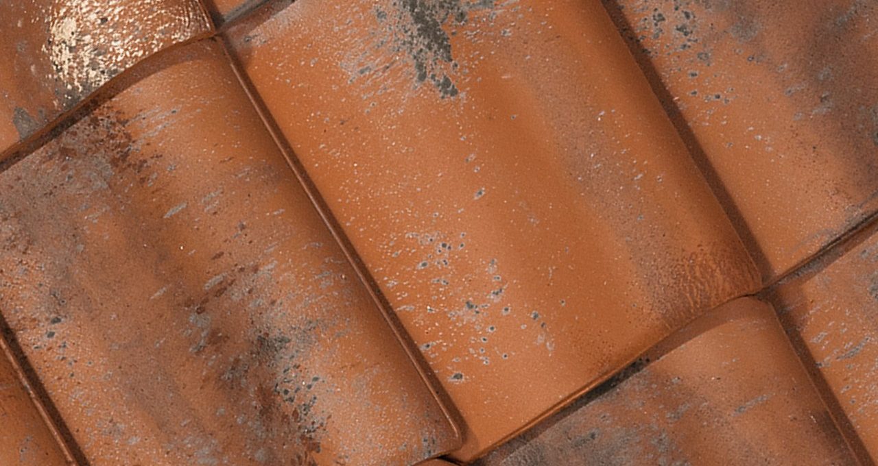 Oude Pottelbergse Pan 451 Vieilli Rood