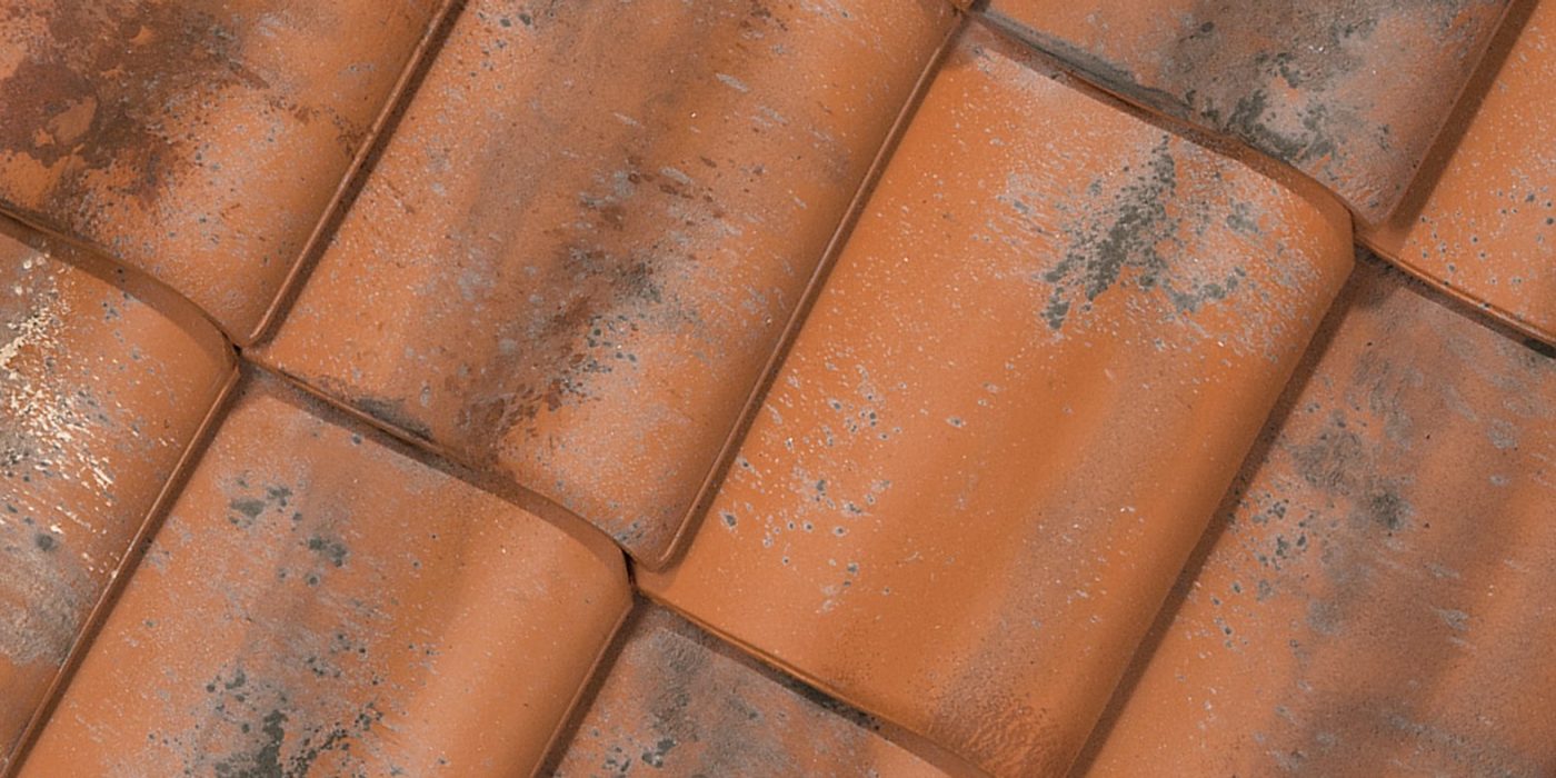 Oude Pottelbergse Pan 451