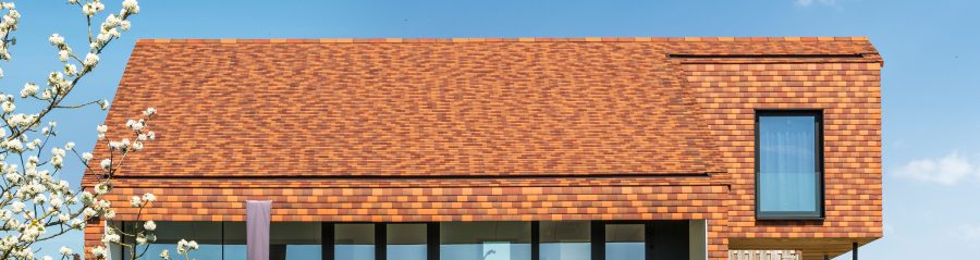 New construction single family in Waanrode