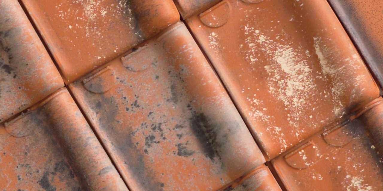 Panel photography of the Stormpan 44 cottage