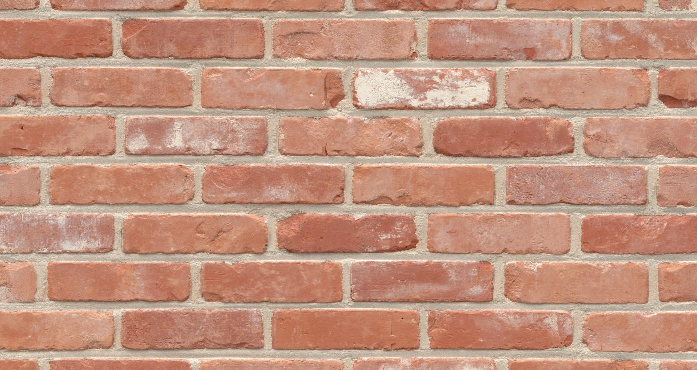 Recup Zevendonkse Rijnvorm