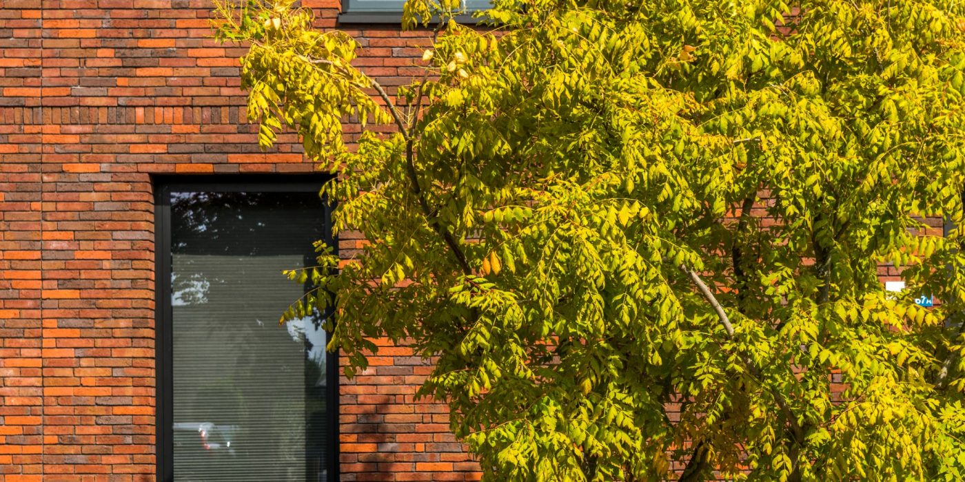 Referentie met Classo