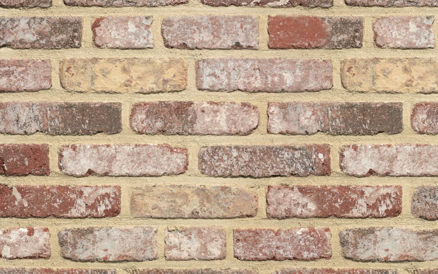 Packshot of a panel with Retro Pastorie