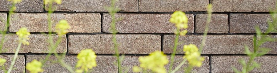 Metselwerk met Iluzo