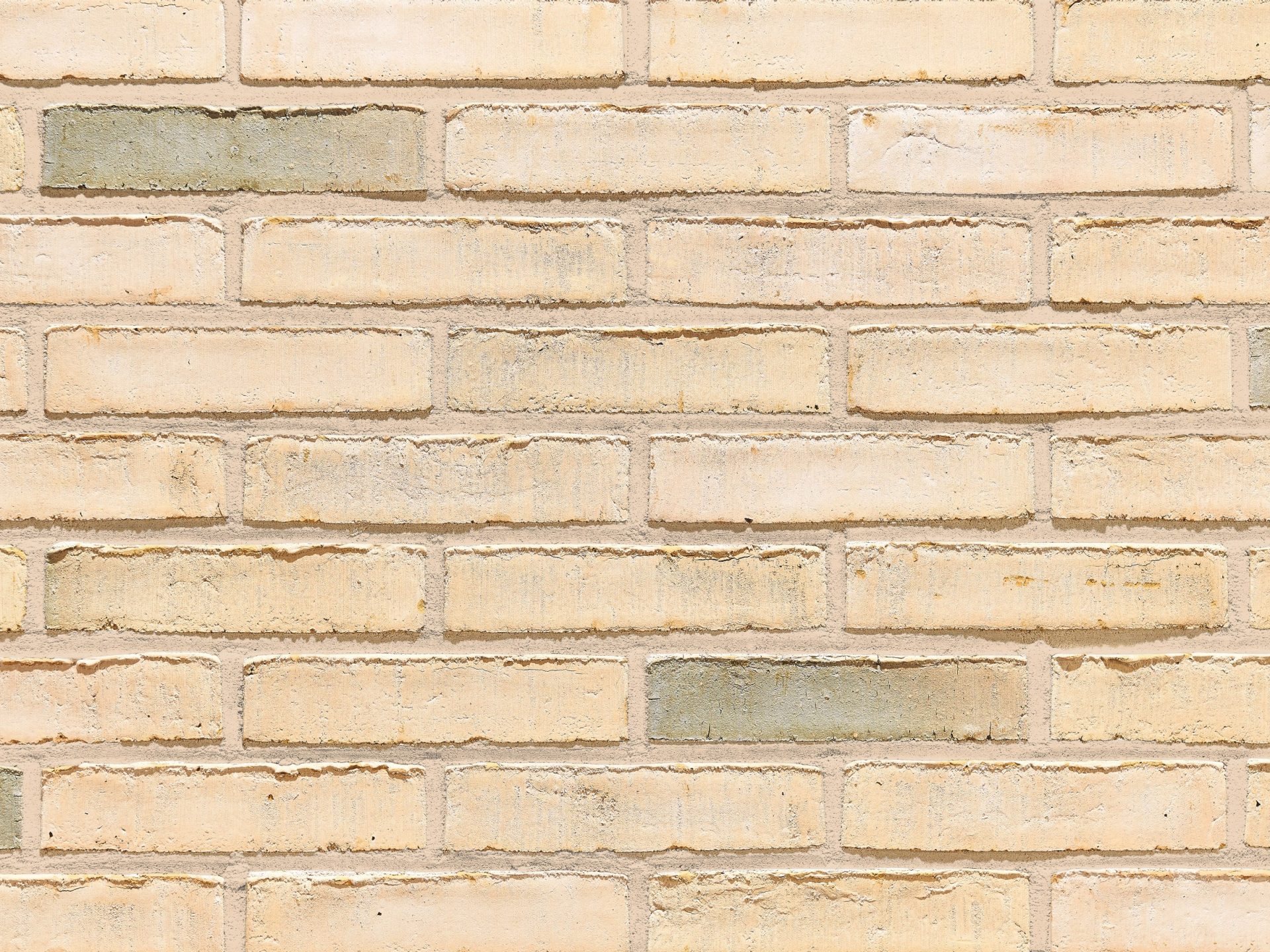 Aquaral Ginger Wit facing bricks in a running bond with mortar