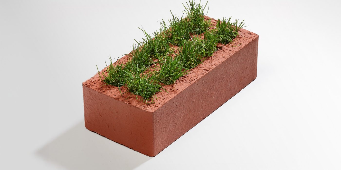 Grass stone - high grass