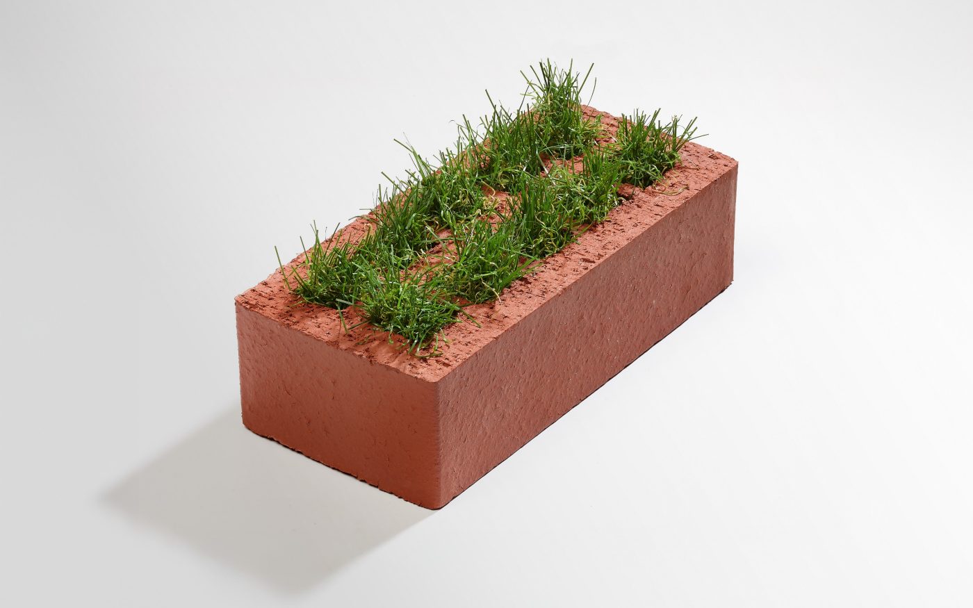 Grass stone - high grass