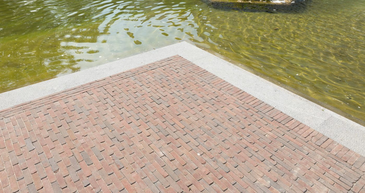 Kleiklinkers langs vijver
