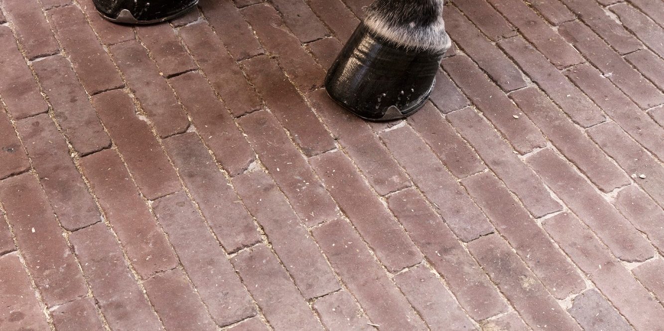 Reference photo infrastructure landscaping in Wolvertem