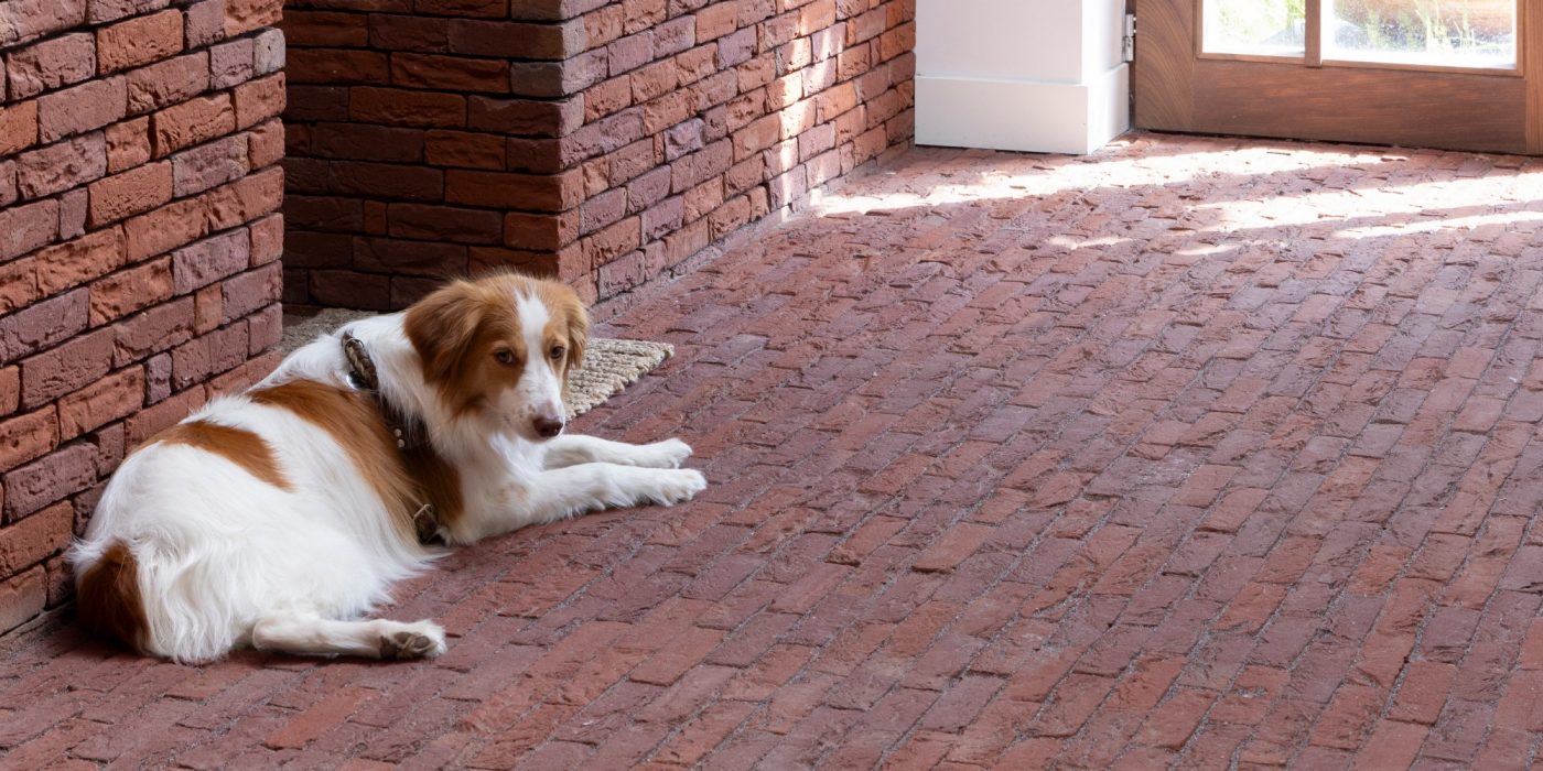 Reference photo interior pavers in Hoogstraten