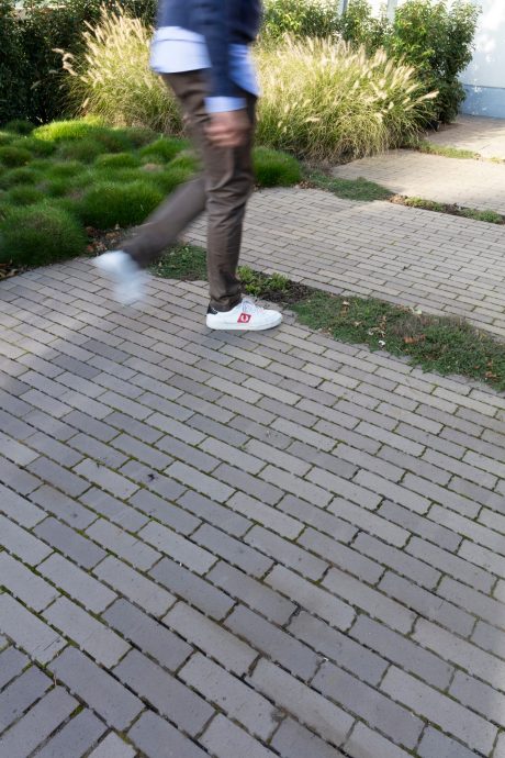 Reference photo private landscaping in Sint-Niklaas