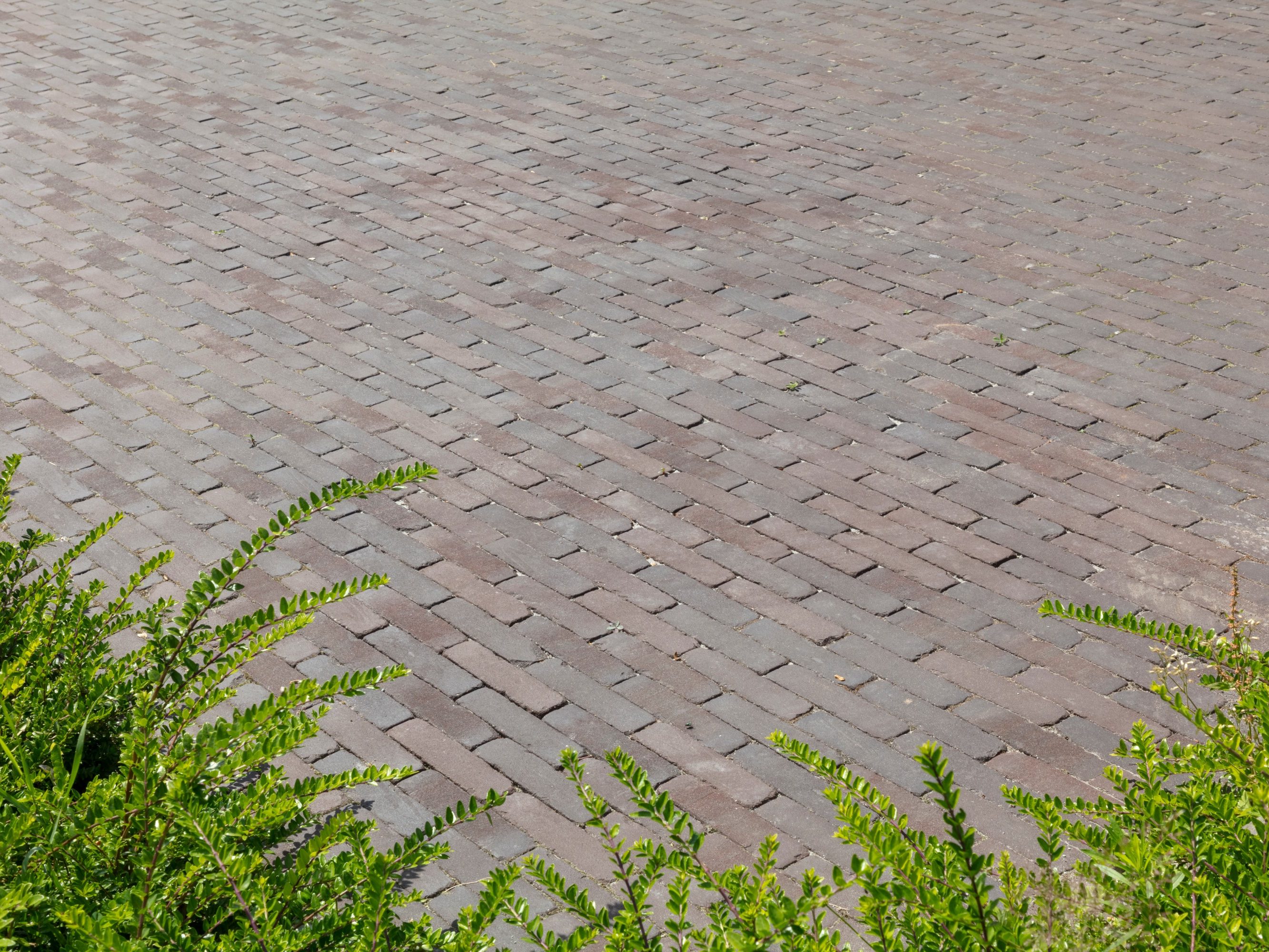 Reference photo private landscaping in Berlare