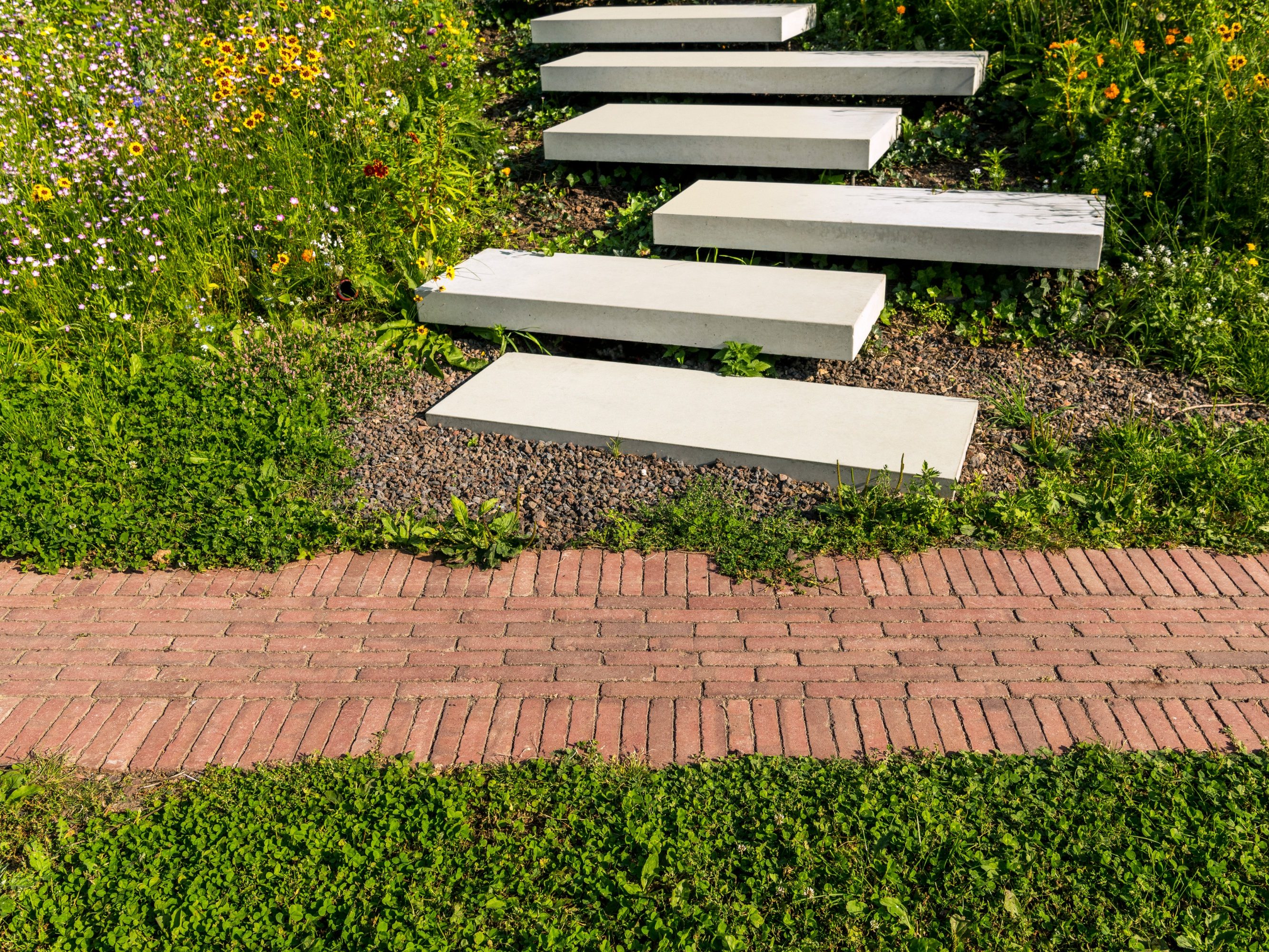 Let’s go swimming in the pool