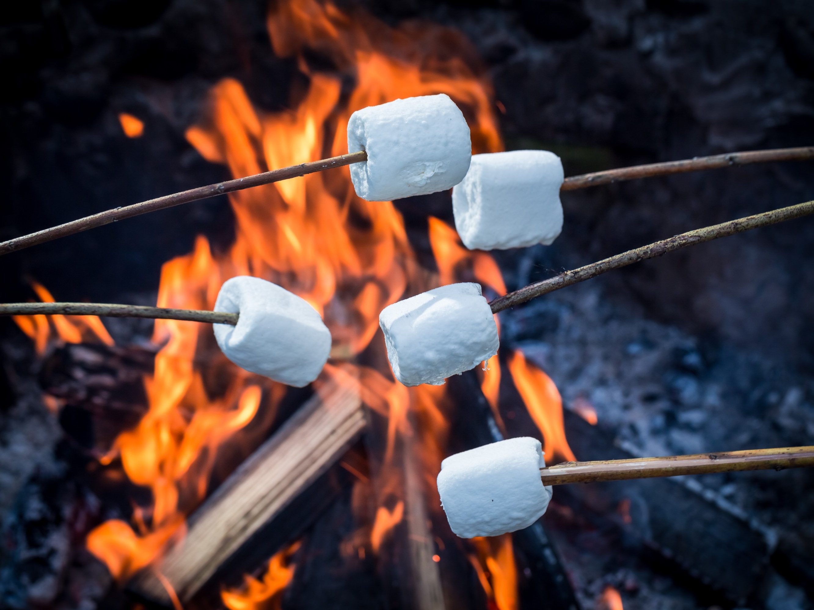 Let’s go swimming in the pool