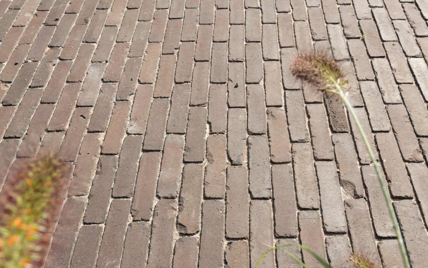 Reference photo private landscaping in Bonheiden