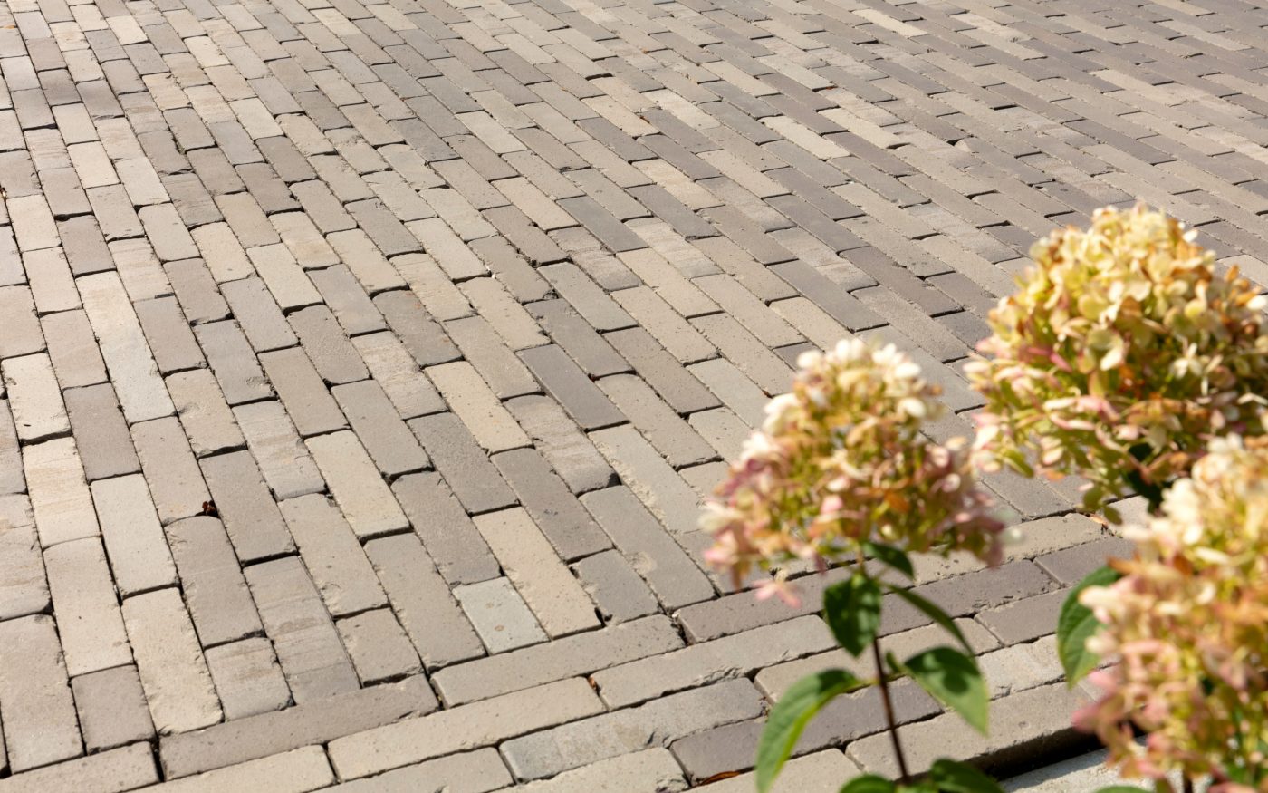 Reference Infrastructure landscaping in Brecht