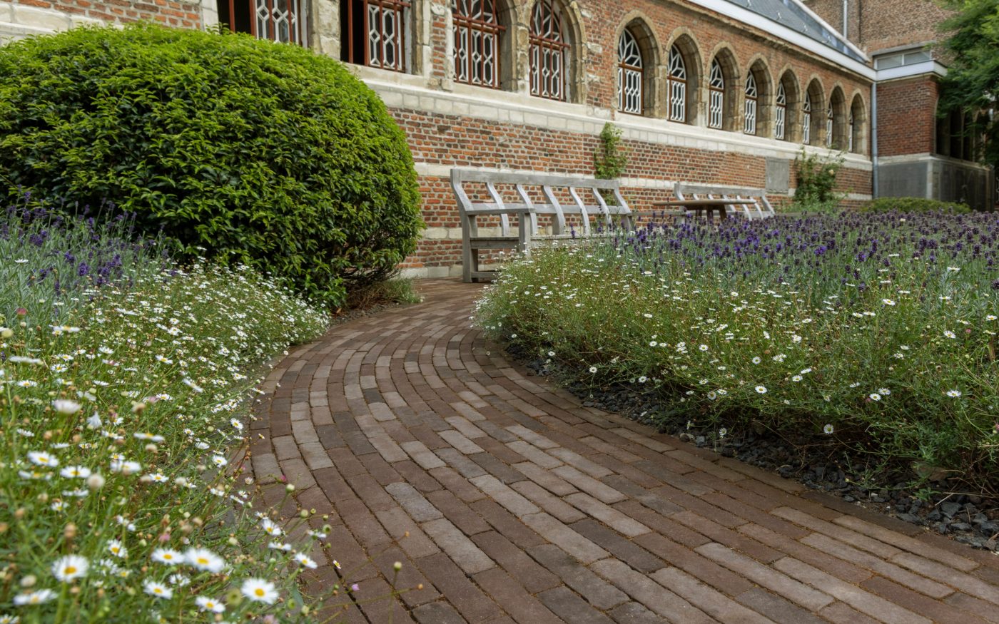 Reference photo Infrastructure landscaping in Antwerpen