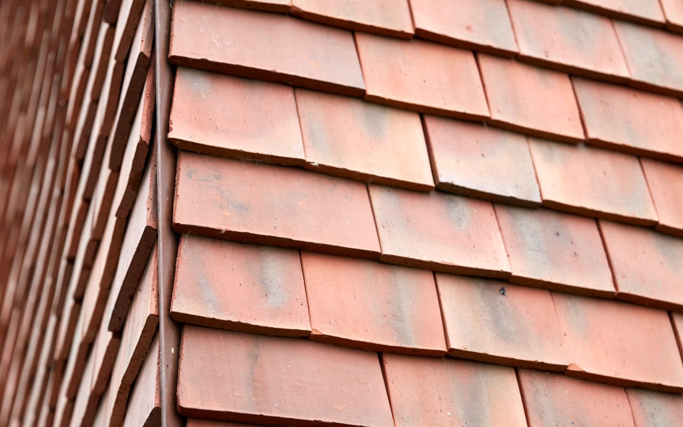 Reference photo new construction single family in Kluisbergen