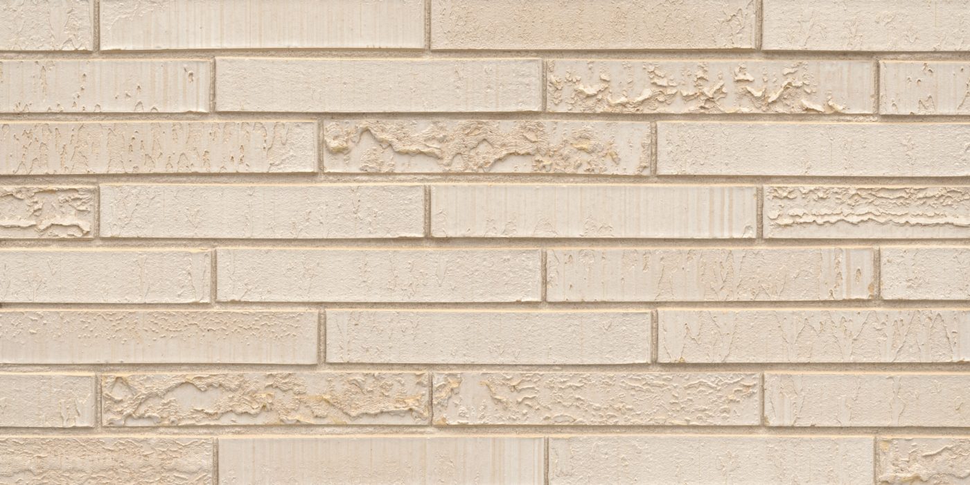 Packshot of a panel with Elignia Nordica wit MF