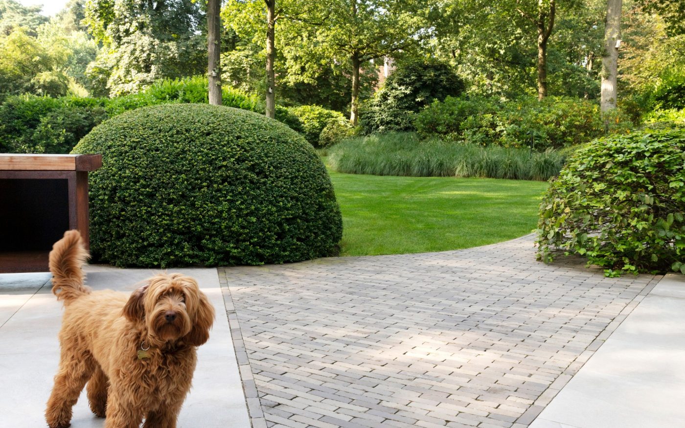 Reference photo private landscaping in Kapellen