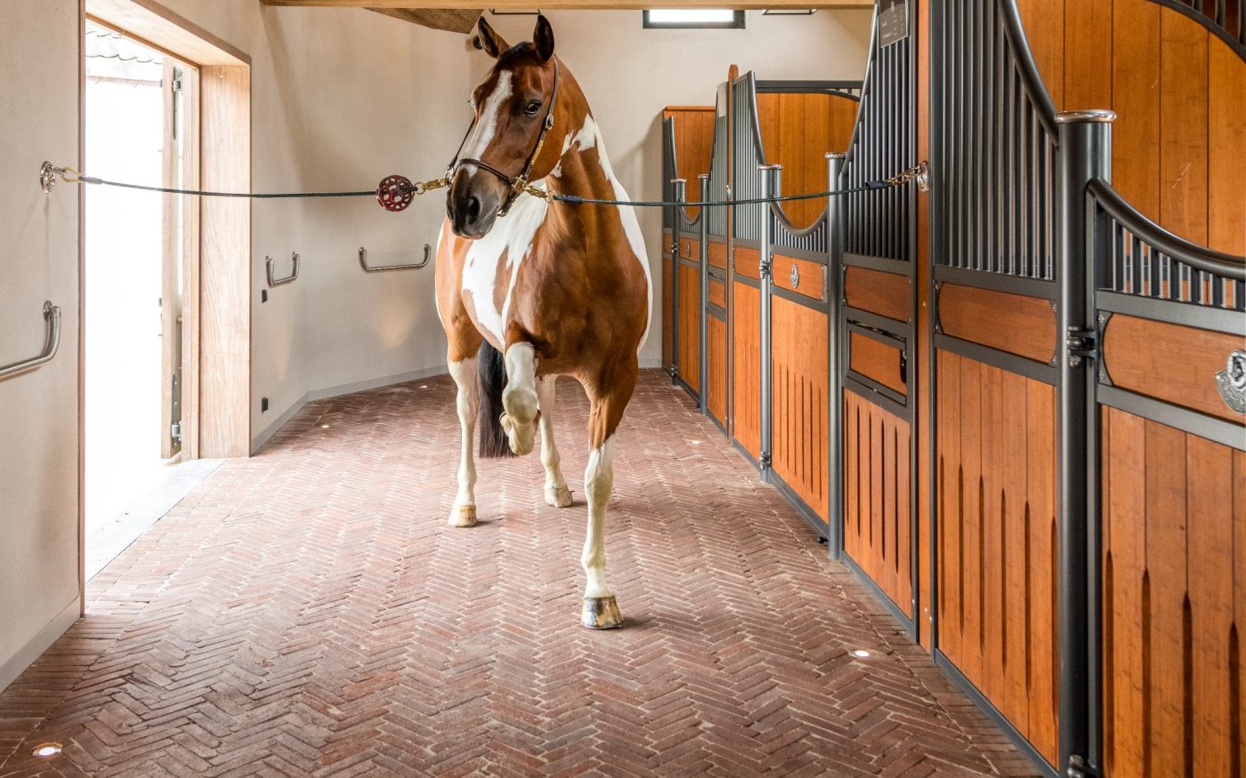 Reference photo private landscaping in Oudenaarde