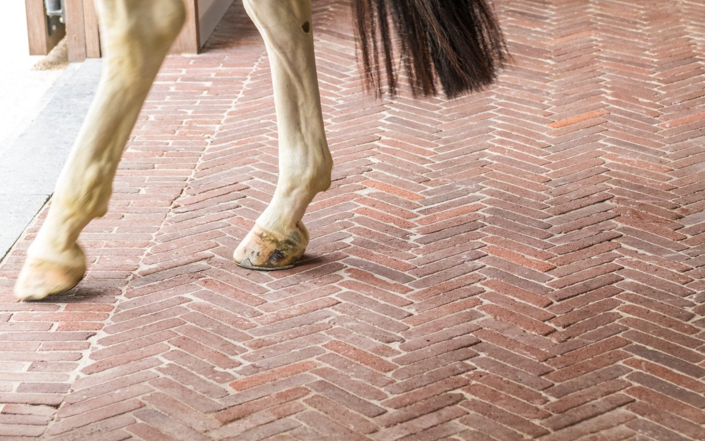 Reference photo private landscaping in Oudenaarde