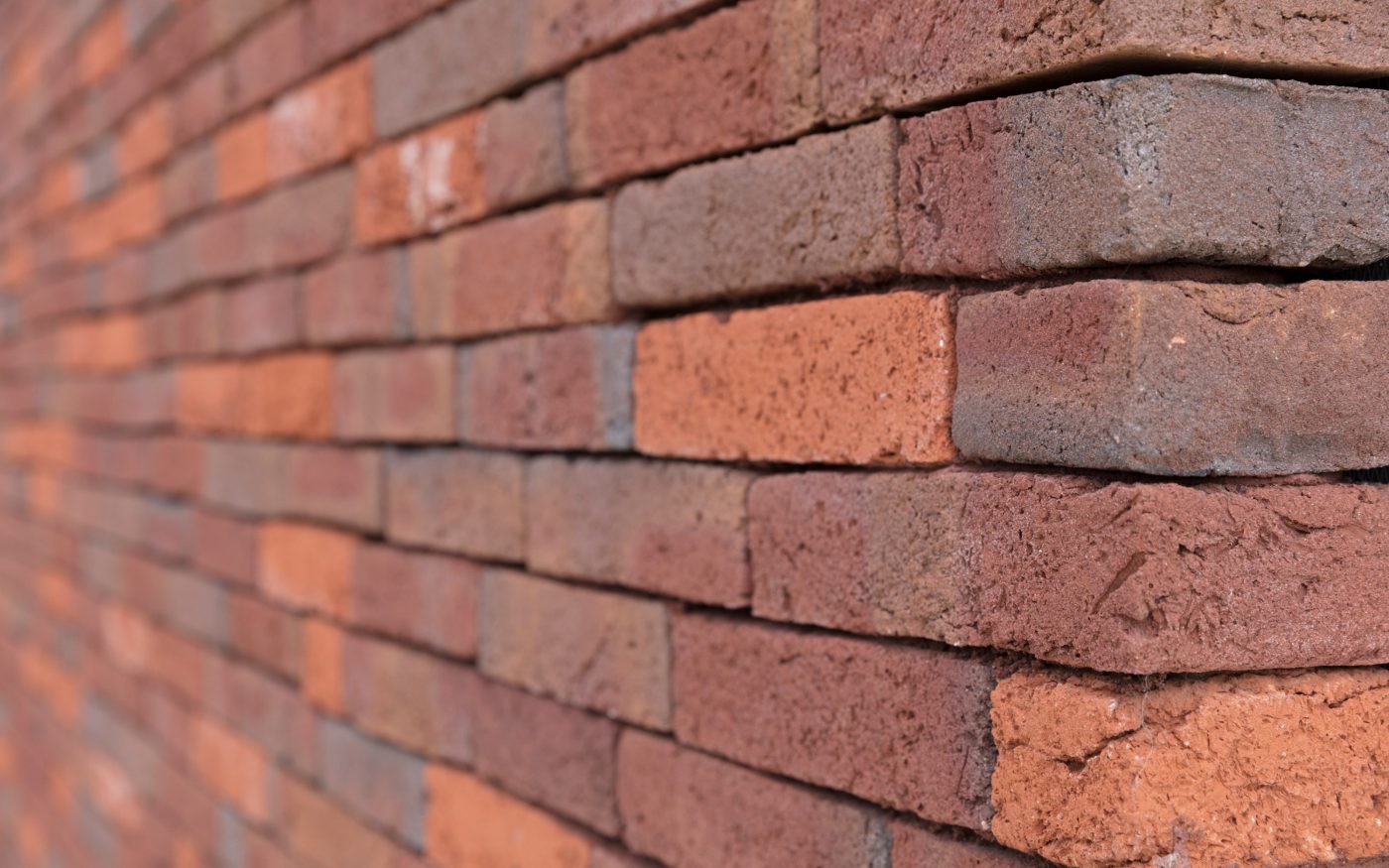 New construction single family in Haacht