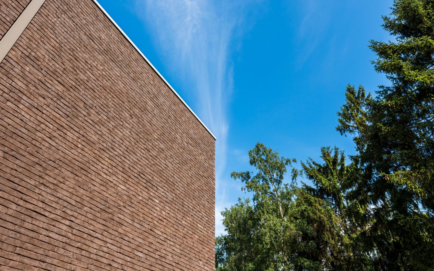 Reference photo new construction office and single family in Zonhoven