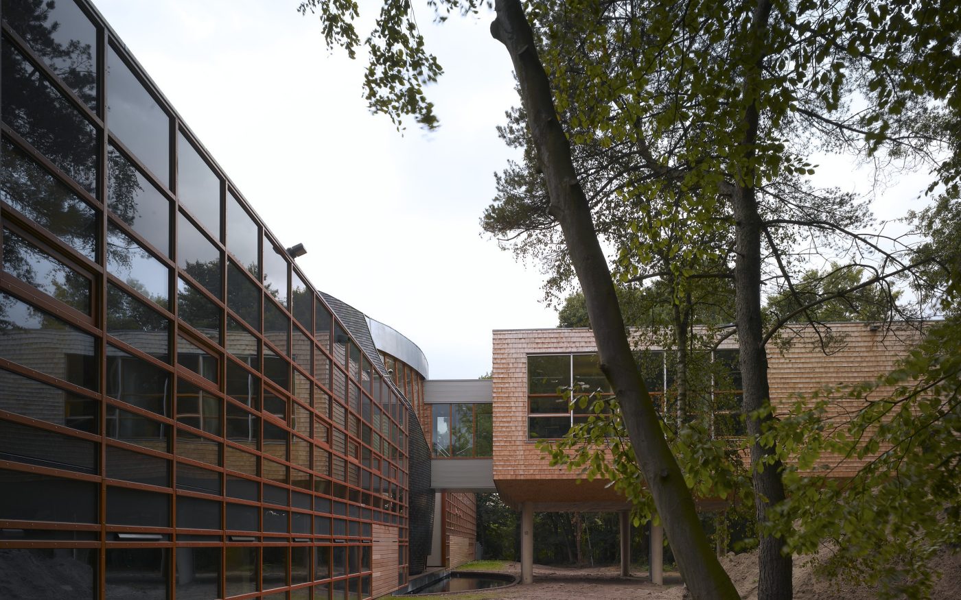WWF Main Office Buildings with facing brick and clay roof tile; Brick Award 2008 Winner Special Prize; T.M. RAU; Photo: Christian Richters