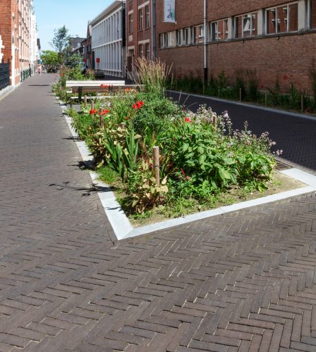 Reference photo infrastructure landscaping in Sint-Niklaas