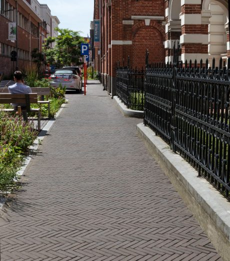 Reference photo infrastructure landscaping in Sint-Niklaas
