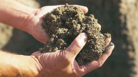 Photography of hands holding clay