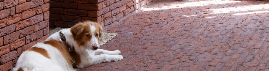 Reference photo interior pavers in Hoogstraten