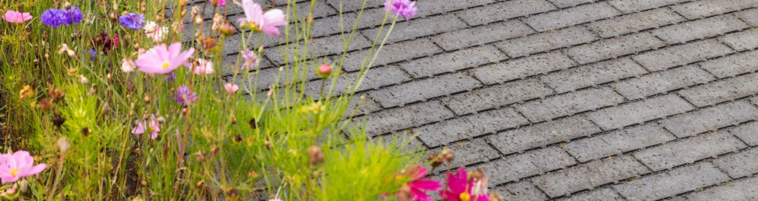 Aménagement paysager privé à Sint-Katelijne-Waver