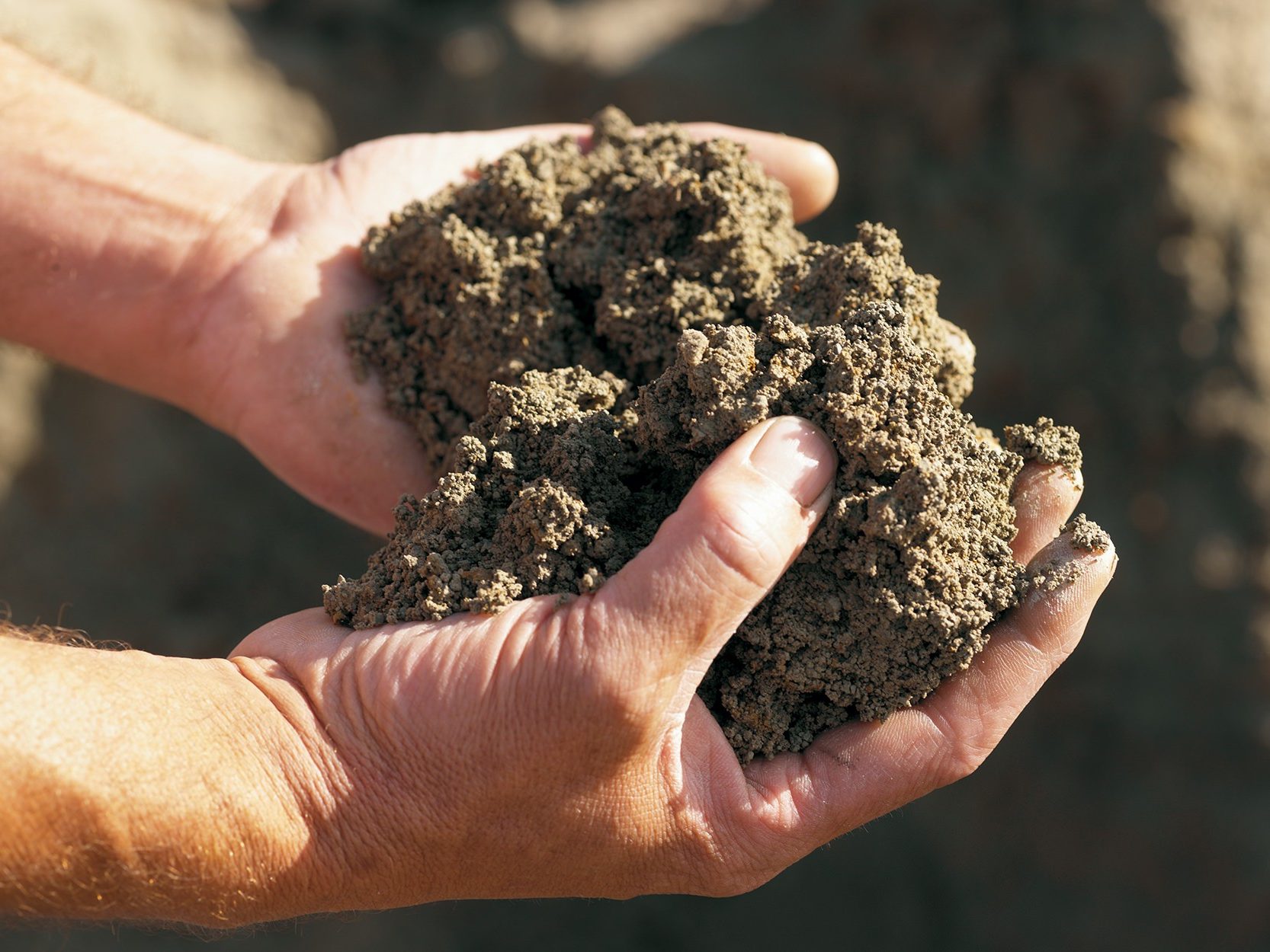 Let’s go swimming in the pool