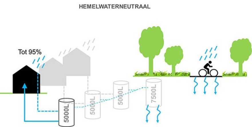Neutral on rainwater