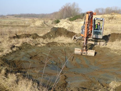 Zicht op de werken voor de aanleg van laagtes voor de Rugstreeppad