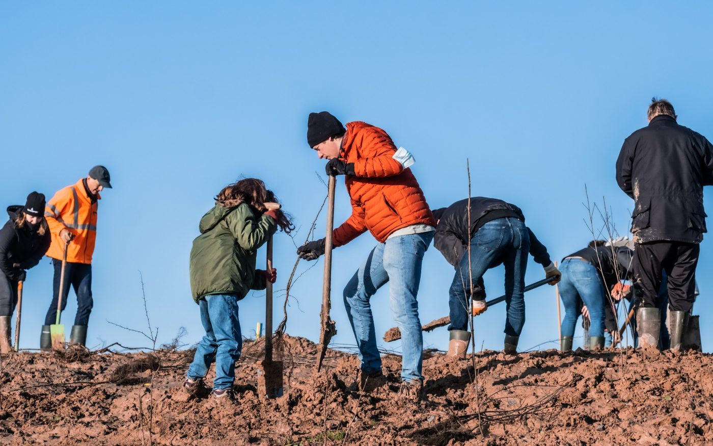 20210109 Aalbeke, Belgie. Wienerberger en Agentschap Natuur en Bos planten 2.650 nieuwe bomen in de voormalige groeve ‘Dewitte’, waar Wienerberger gedurende lange tijd klei groef voor de productie van kleidakpannen in de Koramic. Nu het Preshoekbos.