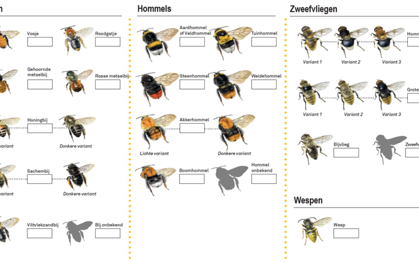 Periodiek beheer door schapen