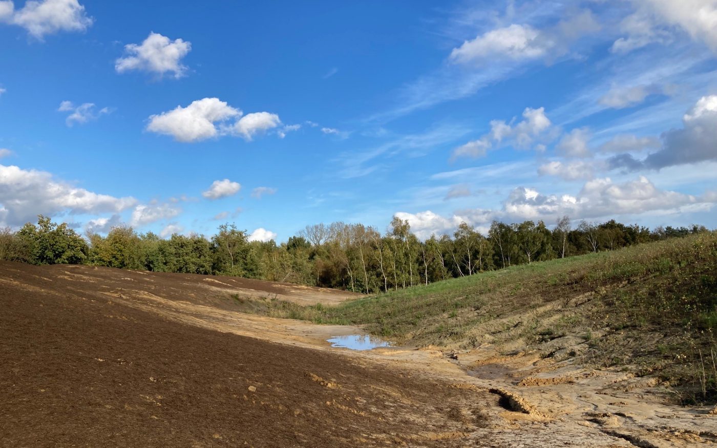 Landduin met zandige toplaag