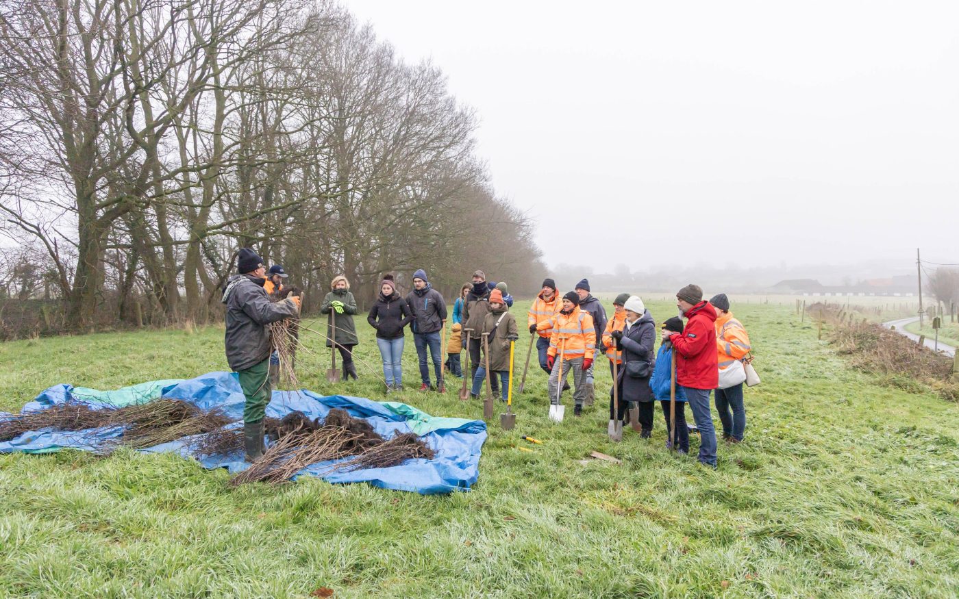 Boomplantactie Zwevegem
