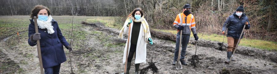 Eerste boomplanting Zwarte Berg