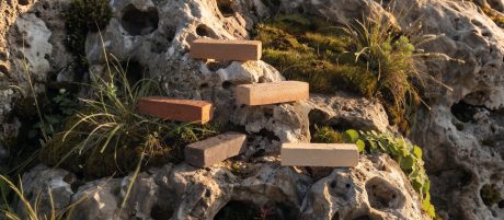 Découvrez la collection de briques de parement Terca Alvara de wienerberger.
