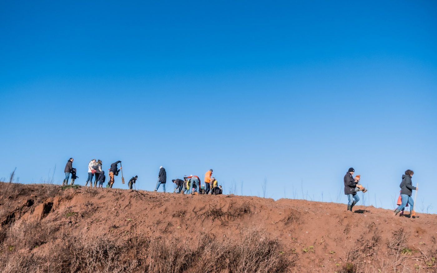 20210109 Aalbeke, Belgie. Wienerberger en Agentschap Natuur en Bos planten 2.650 nieuwe bomen in de voormalige groeve ‘Dewitte’, waar Wienerberger gedurende lange tijd klei groef voor de productie van kleidakpannen in de Koramic. Nu het Preshoekbos.