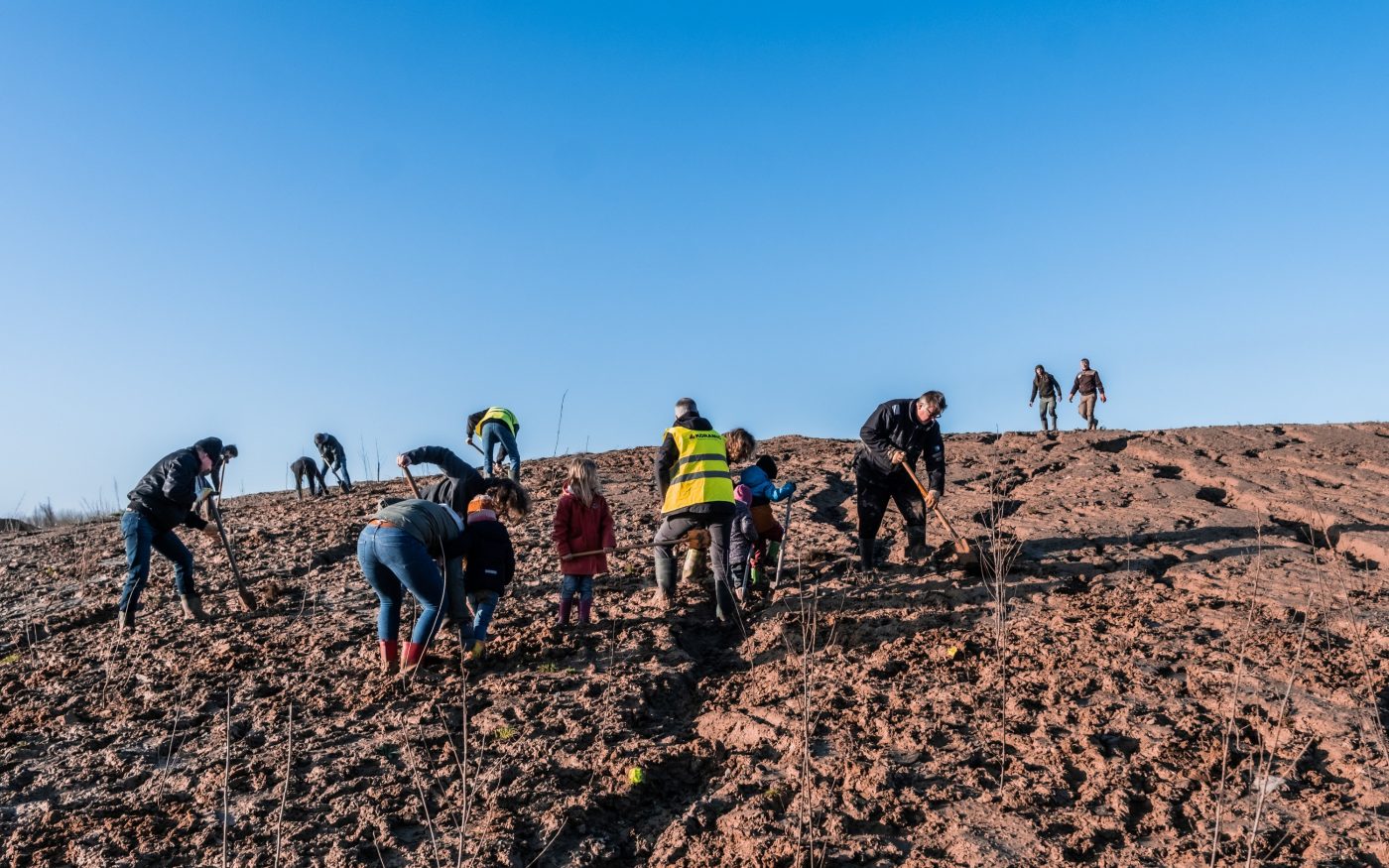 20210109 Aalbeke, Belgie. Wienerberger en Agentschap Natuur en Bos planten 2.650 nieuwe bomen in de voormalige groeve ‘Dewitte’, waar Wienerberger gedurende lange tijd klei groef voor de productie van kleidakpannen in de Koramic. Nu het Preshoekbos.