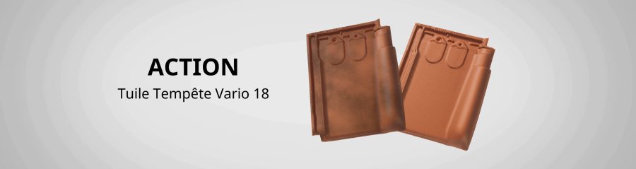 Banner Vario 18 wedstrijd (7233 × 2400 px) - 2