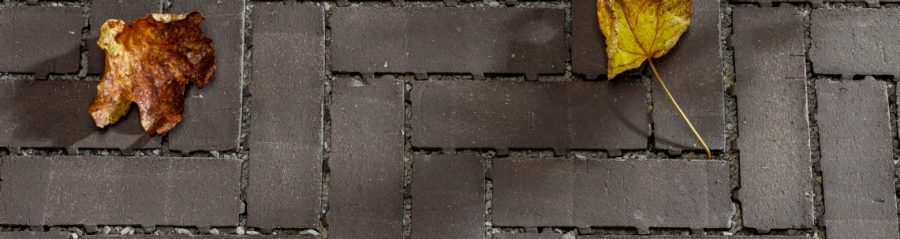 Photo Passaqua Eros pavers