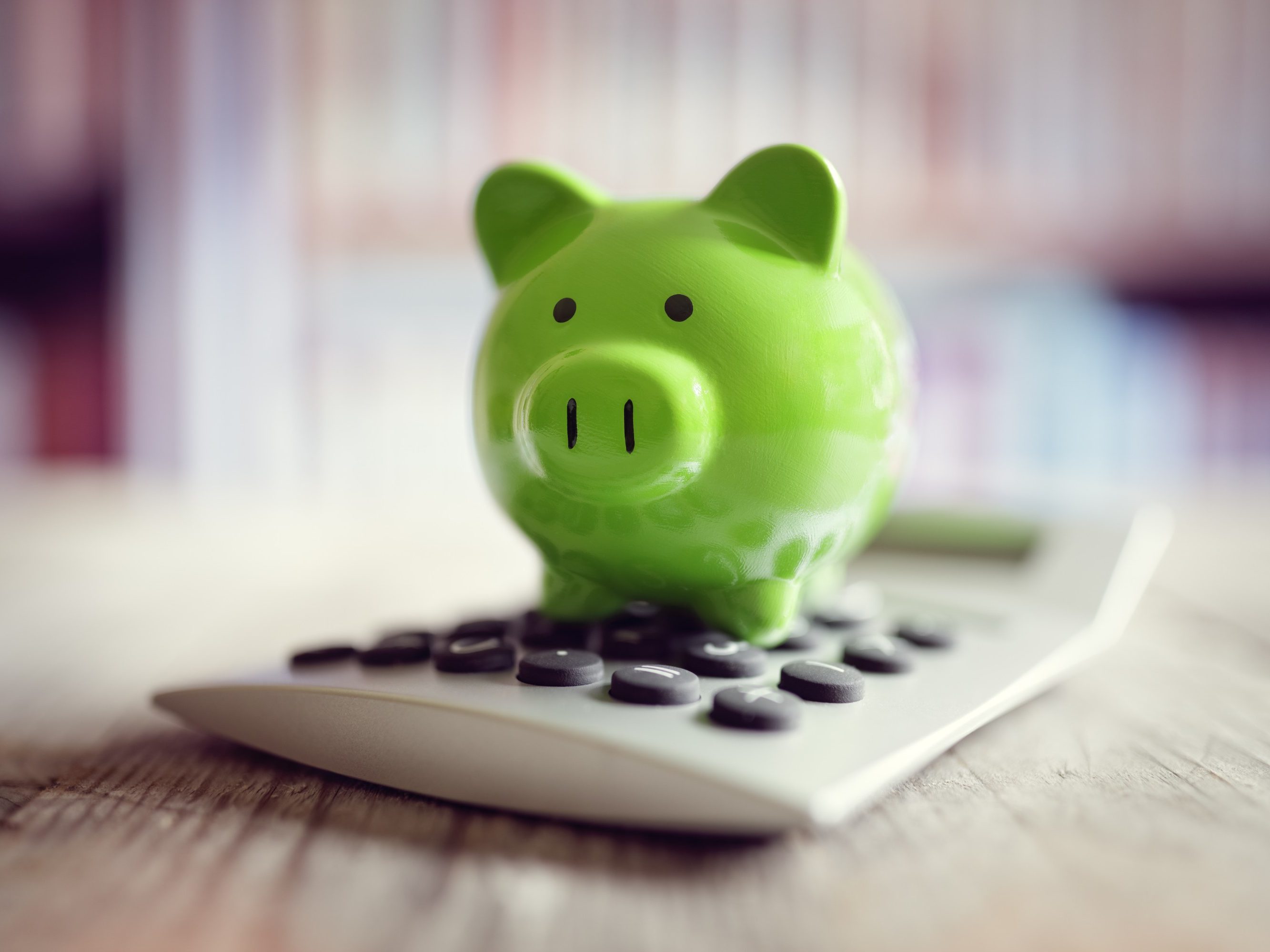 Let’s go swimming in the pool