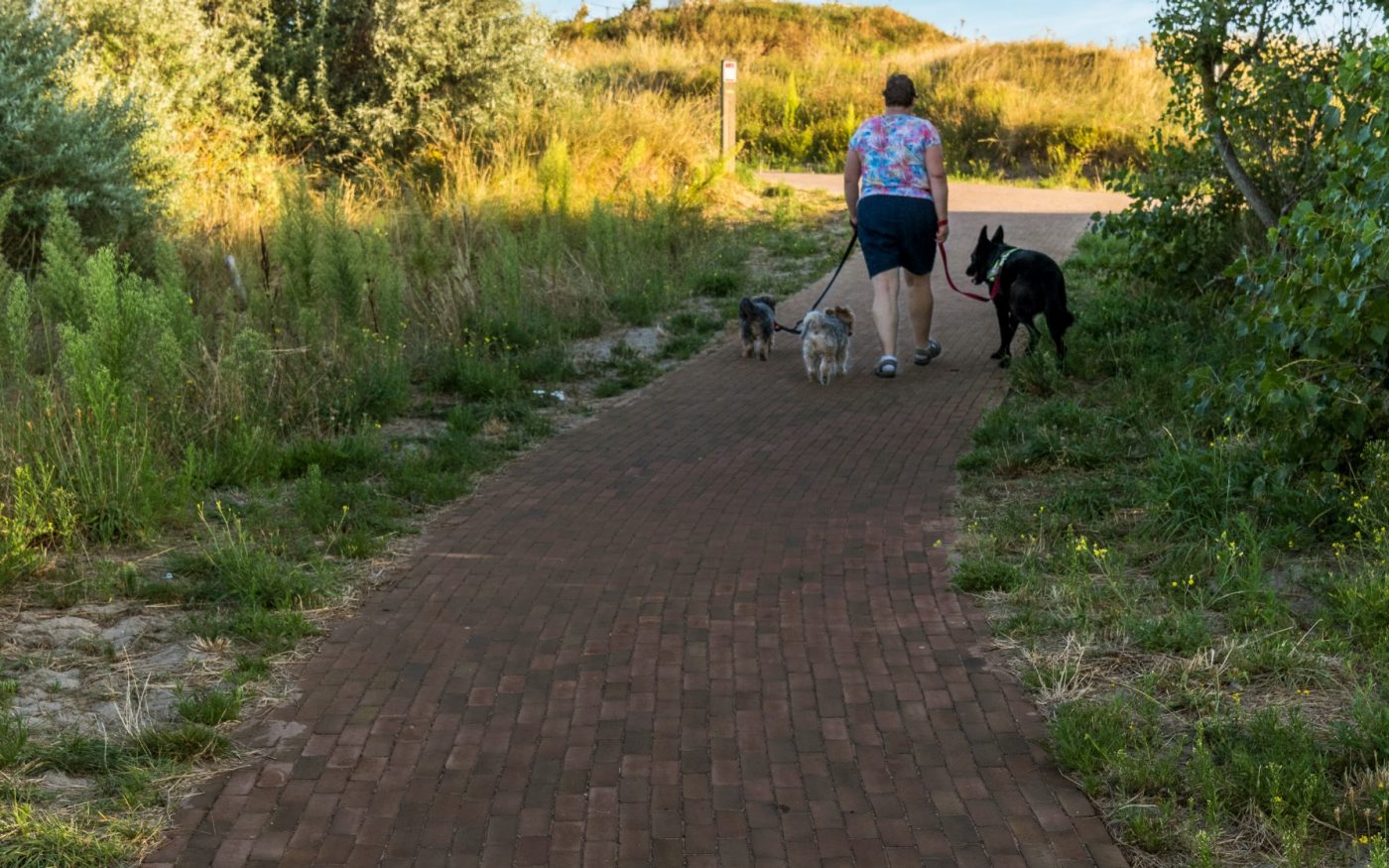 Reference photo infrastructure landschaping in Wenduine