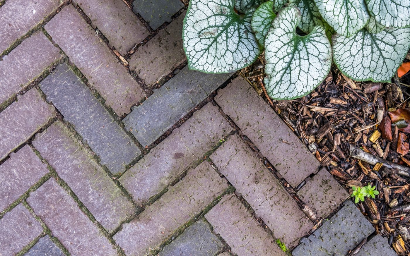 Reference photo private landscaping in Belsele